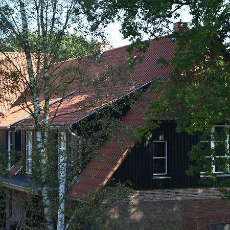 Ferien Hohes Elbufer Hotel Schnakenbek Eksteriør billede